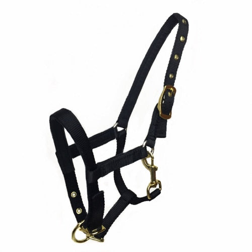 Outdoor Headstall Horse Riding Racing Woven Belts - azponysolutions