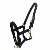 Outdoor Headstall Horse Riding Racing Woven Belts - azponysolutions