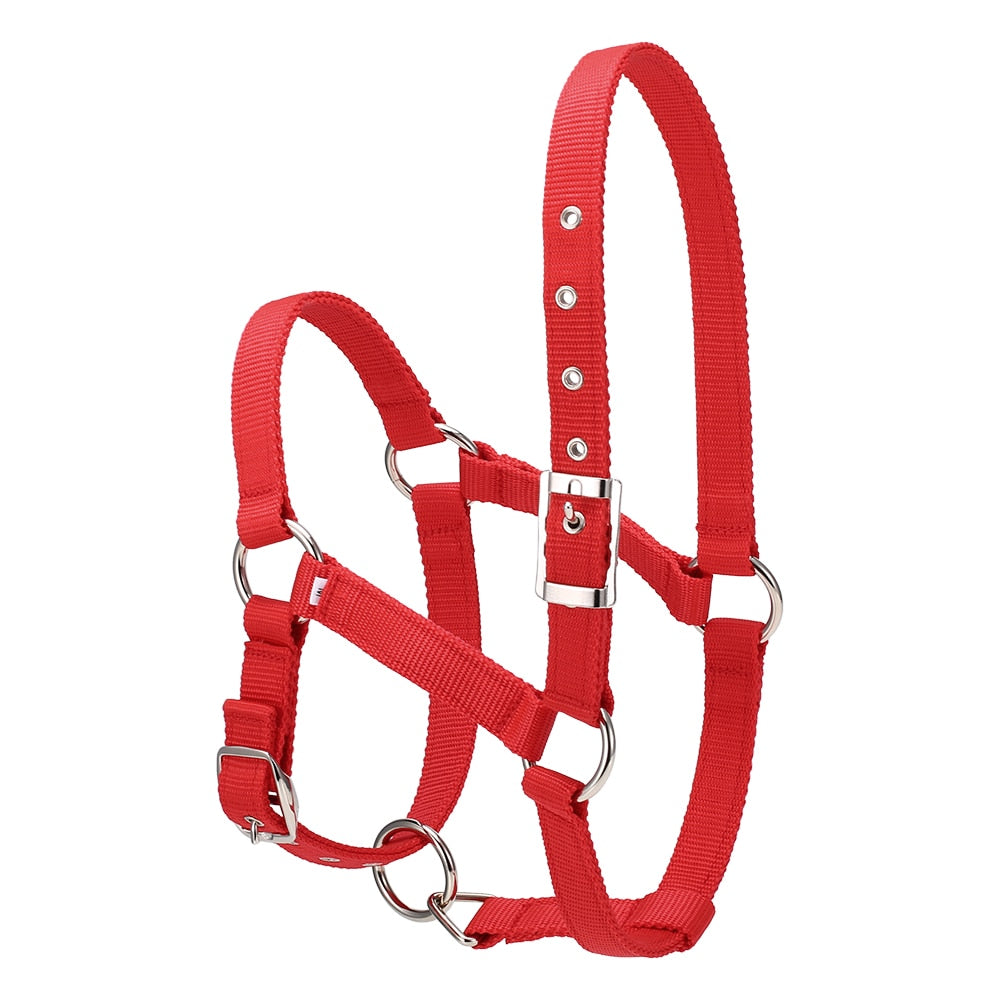 Durable Horse Head Collar - azponysolutions