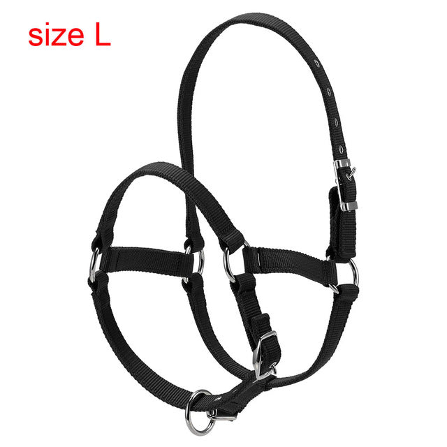 Durable Horse Head Collar - azponysolutions