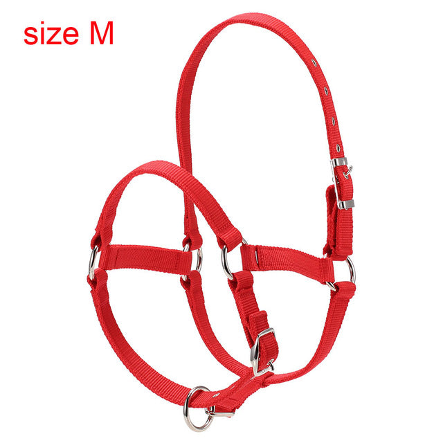 Durable Horse Head Collar - azponysolutions