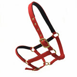 Outdoor Headstall Horse Riding Racing Woven Belts