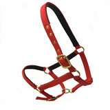 Outdoor Headstall Horse Riding Racing Woven Belts - azponysolutions