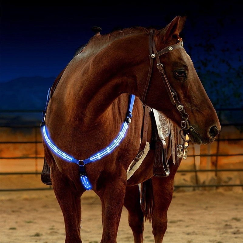 LED Horse Harness - azponysolutions