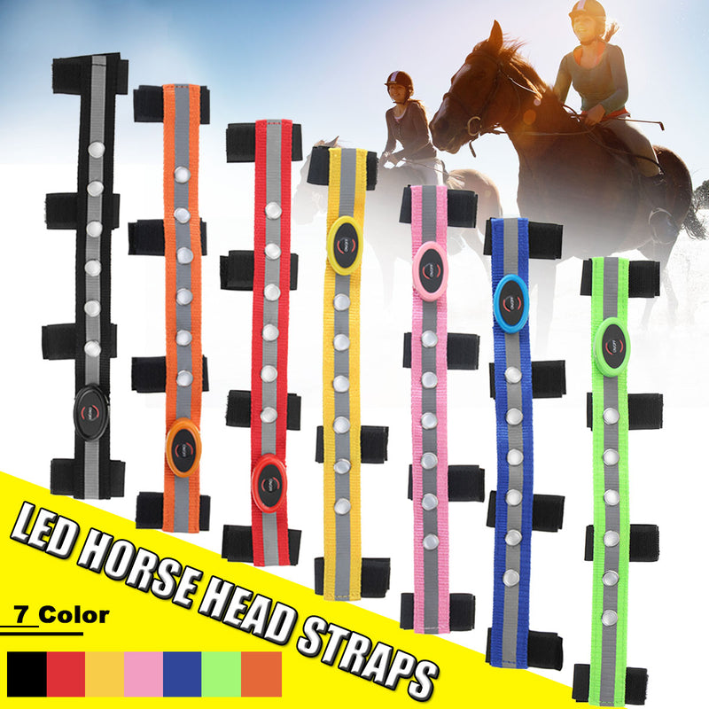 LED Decorative Horse Head Straps - azponysolutions