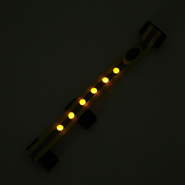 LED Decorative Horse Head Straps - azponysolutions