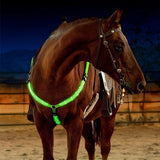 LED Horse Harness - azponysolutions