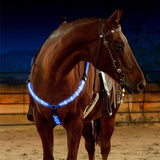 LED Horse Harness - azponysolutions