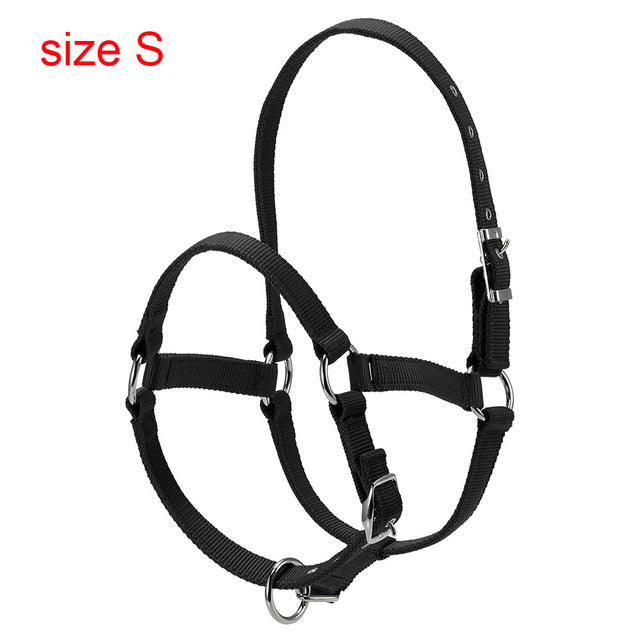 Durable Horse Head Collar - azponysolutions